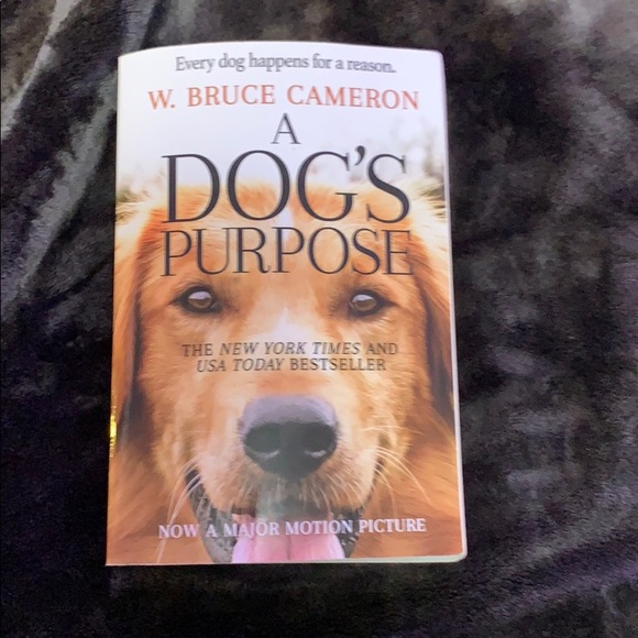 Book - Picture 1 of 1